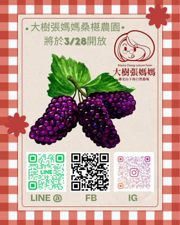 桑椹園即將開園！！