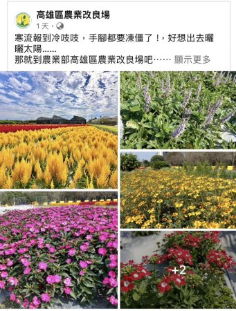 2024-01-27高雄農改場一年一度的開放日，歡迎大家一起來參觀選購