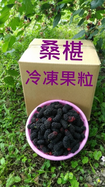 Freeze Mulberry